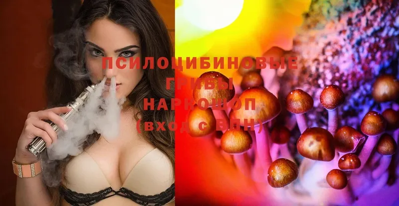 mega ссылка  Новотроицк  Галлюциногенные грибы Cubensis 